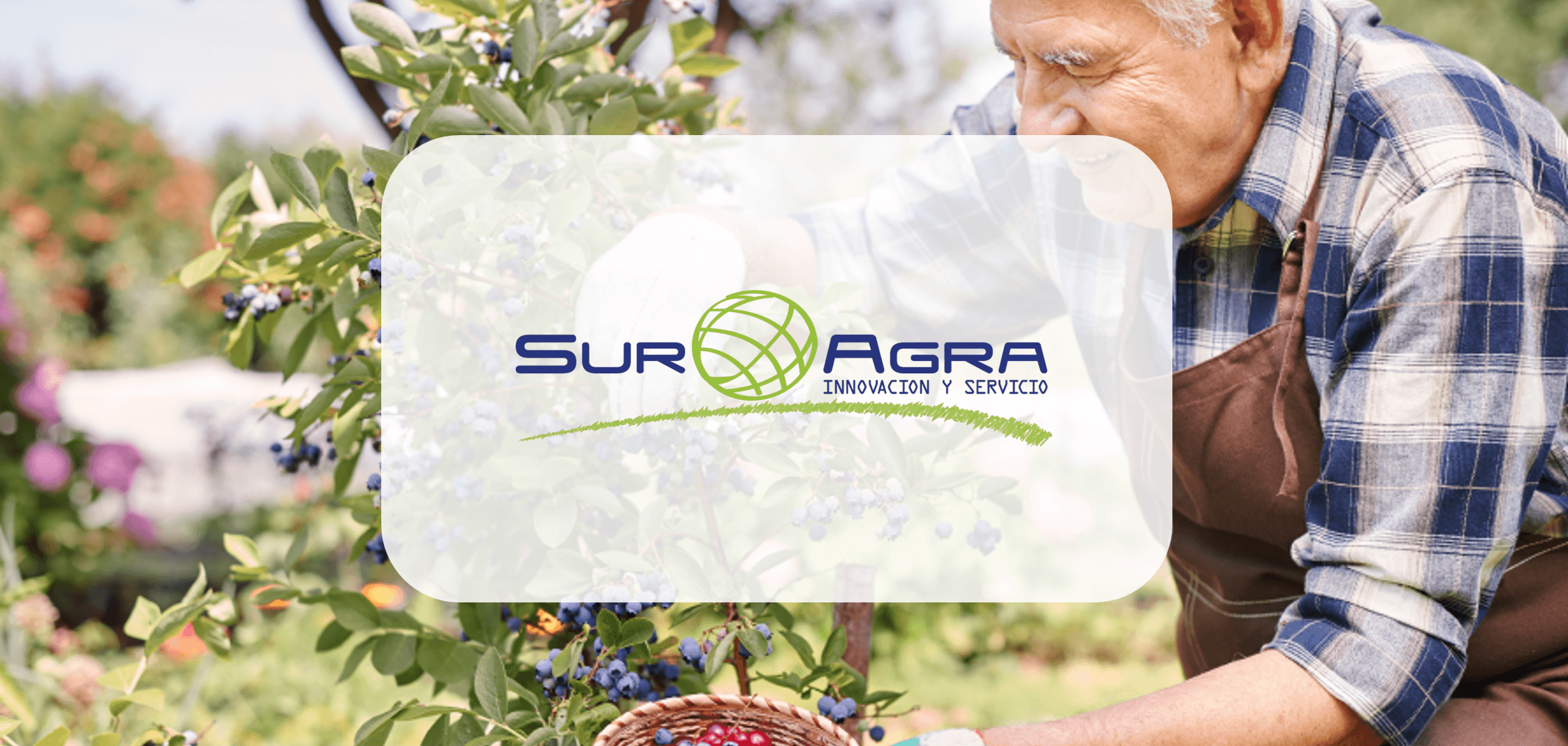 persona en el huerto